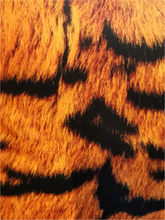 Load image into Gallery viewer, Orange Tiger Print Velvet Square Cushion